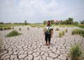 KEBANYAKAN kawasan sawah merekah dan kering-kontang ekoran cuaca panas yang berlarutan di Kampung Alor Redis, Kangar, Perlis semalam. – UTUSAN/IZLIZAN OTHMAN