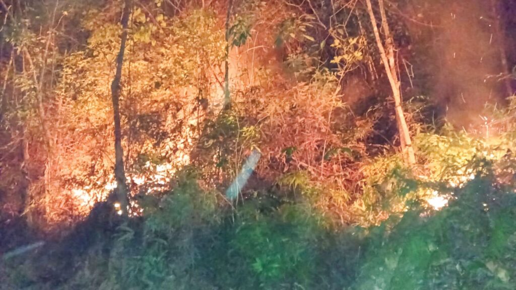 1,089 kes pembakaran terbuka di Kelantan