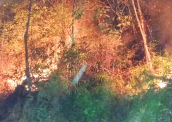 KEBAKARAN hutan yang berlaku di Kuala Krai, Kelantan, kelmarin. – IHSAN BOMBA