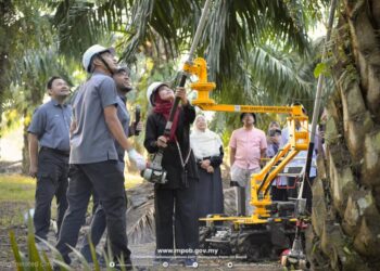 NORAINI Ahmad (kanan) semasa melakukan demonstrasi penggunaan jentera lengan sokongan Arm Manipulator ciptaan MPOB untuk menuai tandan buah segar (TBS) di ladang pekebun kecil milik Faridah Shapi-i di Kampung Gual Tok Adam, Pasir Mas, Kelantan, semalam.