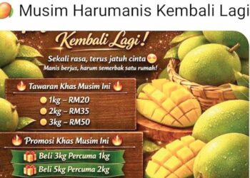 ANTARA laman Facebook yang dikesan menawarkan harumanis pada harga yang rendah.