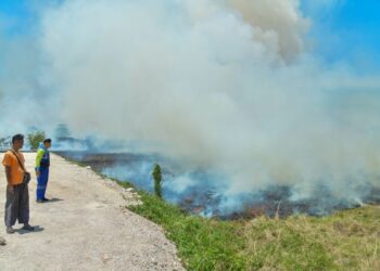 PENDUDUK hanya mampu melihat kemusnahan tanaman akibat api yang marak dengan cepat akibat cuaca kemarau di Kampung Pondok, Kangar, Perlis. – MINGGUAN/IZLIZAN OTHMAN