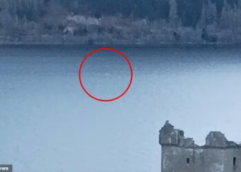 HAIWAN misteri didakwa dirakamkan di permukaan tasik Loch Ness. - Foto AC News