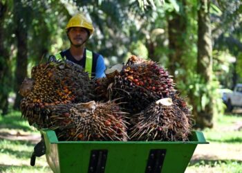 GANGGUAN di Selat Hormuz boleh menimbulkan ketidaktentuan dalam bekalan minyak mentah global, sekali gus mempengaruhi pergerakan harga komoditi lain termasuk minyak sawit.