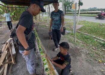 NABIL Ammar menyusun lemang yang akan dibakar mengikut saiz di Taman Kota Masai, Pasir Gudang.