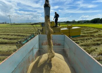 keterjaminan makanan kini merupakan isu strategik yang berkait rapat dengan kestabilan ekonomi negara.