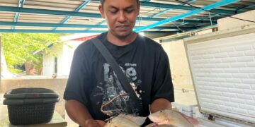 ABDUL Azhar Abdul Aziz menunjukkan ikan bongkok yang diproses dijadikan pekasam di Santuari Air Tawar Timah Tasoh, Padang Besar, Perlis semalam.- UTUSAN/ASYRAF MUHAMMAD