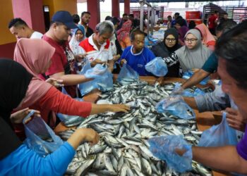 BEKALAN ikan negara kekal mencukupi dan tidak terjejas meskipun Malaysia ketika ini berdepan cuaca panas berpanjangan susulan fenomena El Nino.