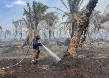 ANGGOTA bomba dari Balai Bomba dan Penyelamat Kuala Rompin melakukan pemadaman kebakaran ladang kelapa sawit di Ladang BKH Sdn. Bhd, Kampung Jemeri, Kuala Rompin, Pahang. - FACEBOOK JBPM PAHANG