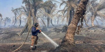 ANGGOTA bomba dari Balai Bomba dan Penyelamat Kuala Rompin melakukan pemadaman kebakaran ladang kelapa sawit di Ladang BKH Sdn. Bhd, Kampung Jemeri, Kuala Rompin, Pahang. - FACEBOOK JBPM PAHANG