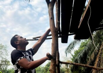 MUHAMAD Hafizzudin Norashikin memanjat pokok kabung semasa proses menyadap bagi menghasilkan air nira ketika ditemui di Kampung Paya Sok, Kuala Krau di Temerloh, Pahang.