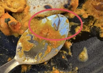 GAMBAR yang tular mengenai penemuan kaki lipas (dalam bulatan merah) dalam satu hidangan makanan di sebuah restoran di Lorong Pitt, George Town, Pulau Pinang baru-baru ini.-GAMBAR/FACEBOOK/KUMARESAN ARAMUGAM