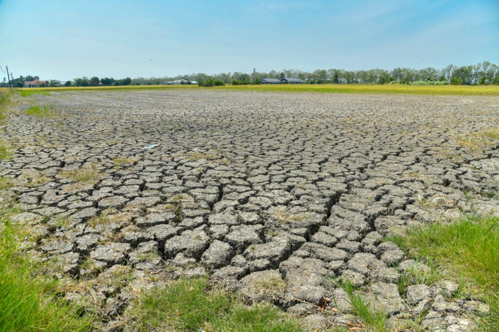 Kenaikan diesel, cuaca panas berisiko jejas hasil padi