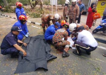SEORANG penunggang motosikal maut dihempap pokok tumbang dalam kejadian di Jalan Stadium berhampiran BBP Alor Setar. - IHSAN BOMBA