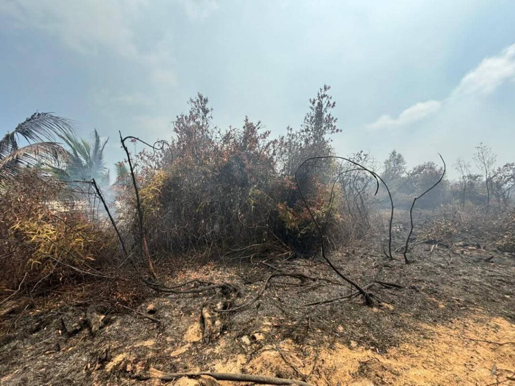 80 peratus kebakaran di Punggai berjaya dipadamkan