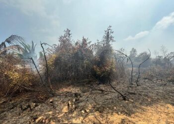 JBPM Johor berjaya memadam kebakaran 120 hektar atau 80 peratus daripada keseluruhan 150 hektar kawasan hutan yang terbakar di Punggai, Pengerang, Johor.