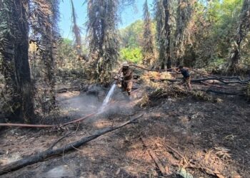 PASUKAN Bomba ketika dalam operasi memadamkan kebakaran tanah gambut di Jalan Pantai berhampiran sebuah taman rekreasi di Port Dickson baru-baru ini. - GAMBAR/IHSAN BOMBA