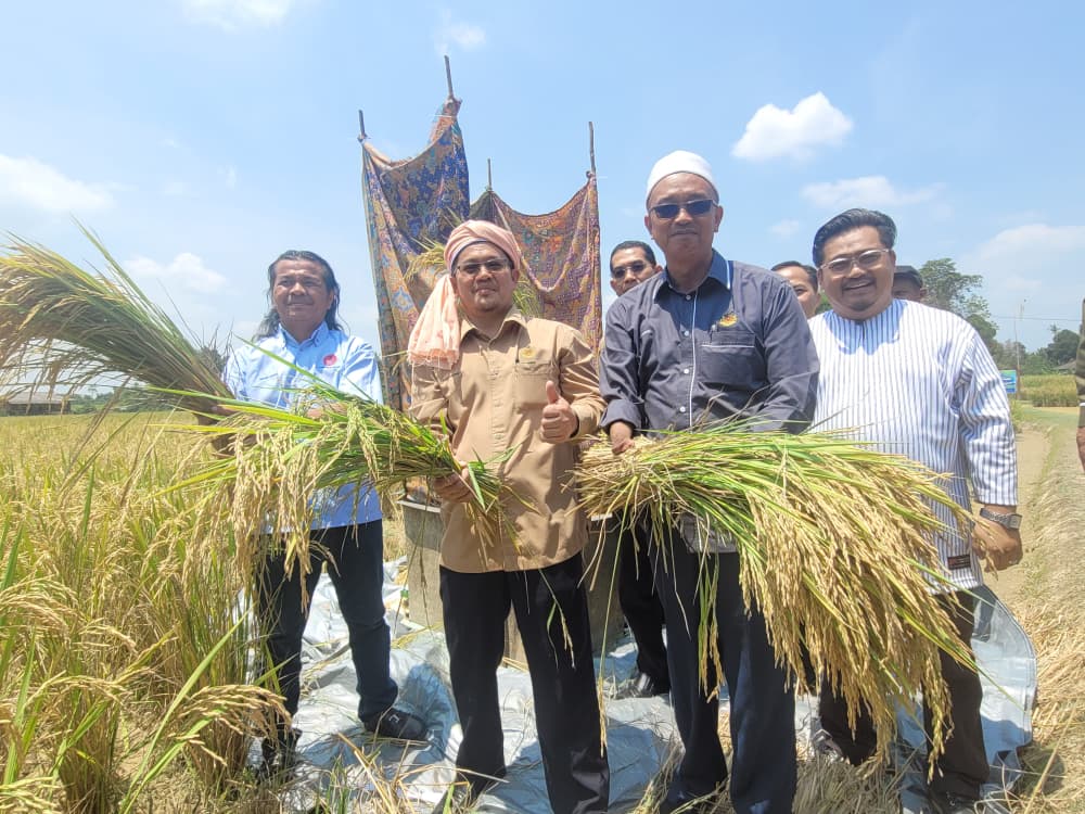 Kemarau: Kelantan agih pam bergerak, palet makanan ternakan
