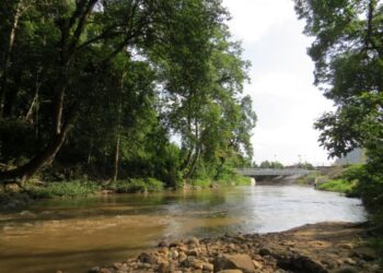 MASALAH pencemaran Sungai Ketil di Gua Musang, Kelantan boleh menjejaskan kesihatan penduduk jika air sungai tersebut digunakan untuk keperluan harian. -GAMBAR HIASAN