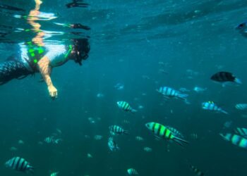 MALAYSIA berada pada fasa baharu dalam tadbir urus lautan yang berteraskan sains, kerjasama rentas sektor serta komitmen terhadap kelestarian jangka panjang.