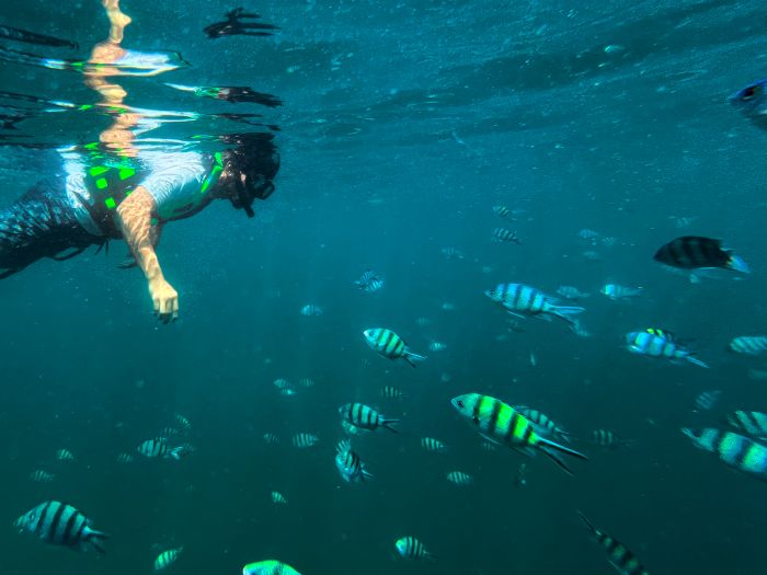 Perlindungan marin juga perlukan kerjasama sektor swasta