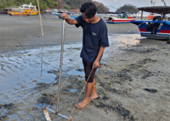 UNIKNYA kepah di Pantai Penarak terserlah melalui kepelbagaian rupa dan corak kulitnya, sekali gus menjadikannya mempunyai tarikan yang tersendiri.