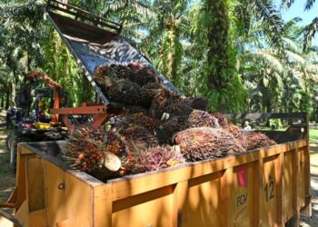 KONFLIK di Asia Barat bukan sahaja memberi kesan kepada sektor tenaga global malah turut mempengaruhi industri komoditi strategik seperti kelapa sawit.