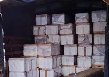 PPM Wilayah Dua merampas 671,600 benih udang karang yang cuba diseludup ke Singapura melalui jalan laut di Tanjung Belungkor, Kota Tinggi.