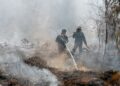 ANGGOTA Bomba dan Penyelamat Terengganu bertungkus-lumus memadam kebakaran hutan tanah gambut di Kuala Abang, Dungun, Terengganu. – UTUSAN/PUQTRA HAIRRY