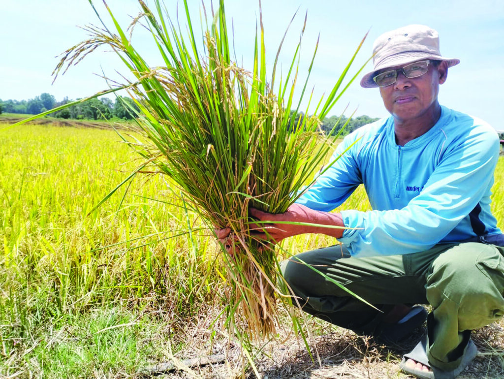 Terbeban kos diesel: Pesawah mahu beralih tanam sayur