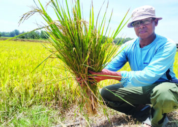 MOHD. Aizul Azlan (kiri) dan rakannya memeriksa keadaan traktornyai di Kampung Ayer Terjun, Besut, Terengganu. - UTUSAN /WAN ZURATIKAH IFFAH WAN ZULKIFLI