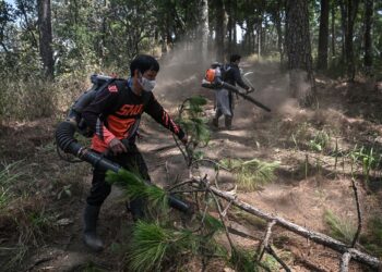 SUKARELAWAN dari kampung Hmong Doi Pui menggunakan alat peniup daun untuk membersihkan laluan api di kawasan Taman Negara Doi Suthep-Pui di Chiang Mai.-AFP