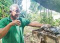 MOHD. Noor Majid melihat sarang kelulut diusahakan di Kampung Tasik Pasir Akar, Besut, Terengganu. – UTUSAN/WAN ZURATIKAH IFFAH WAN ZULKIFLI
