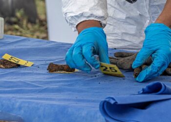 PAKAR forensik menyusun dan melabel serpihan tulang semasa pencarian sisa manusia berhampiran Tasik Chalco di daerah Tláhuac, Mexico City. - AFP