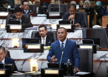 Raja berperlembagaan