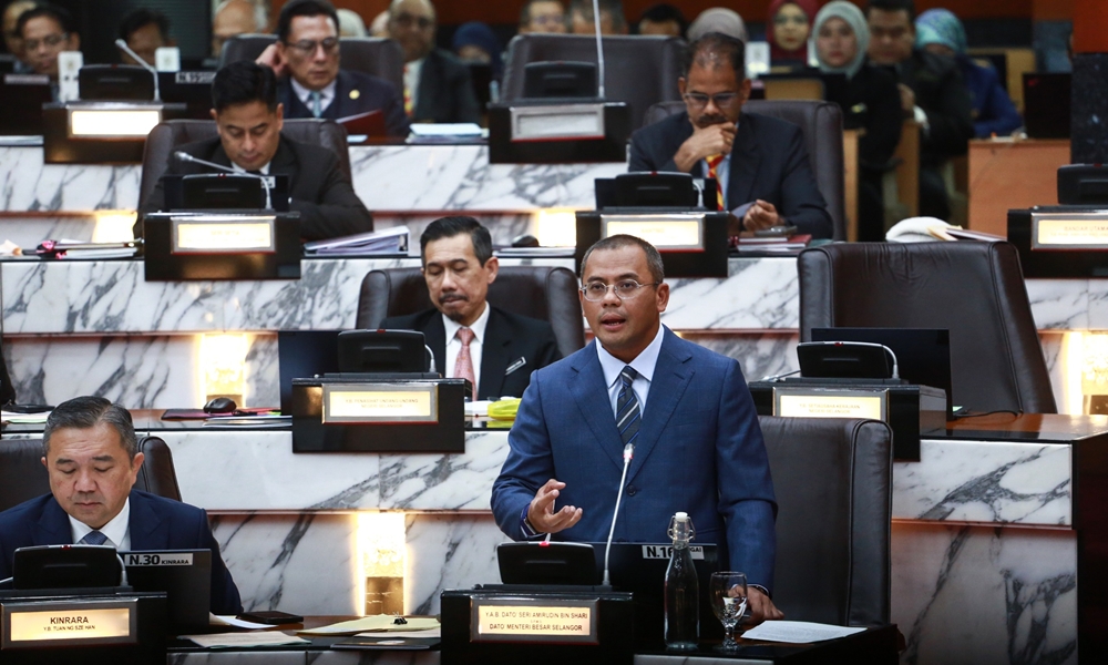 Raja berperlembagaan