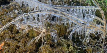 FENOMENA pembekuan ais merupakan kejadian semula jadi yang lazim berlaku secara berkala di kawasan altitud tinggi Gunung Kinabalu- UTUSAN/JULAIMIN KAMIL