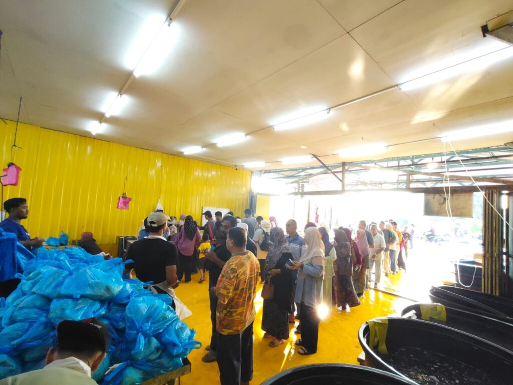 2,500 ayam 90 sen ‘licin’ dalam dua jam