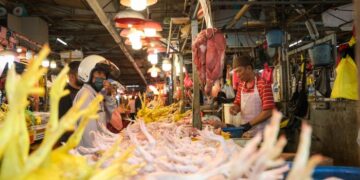 MALAYSIA berada di kedudukan yang agak stabil dan berdaya tahan dalam memenuhi keperluan bekalan makanan, terutama bagi sumber protein utama seperti ayam dan telur.-GAMBAR HIASAN