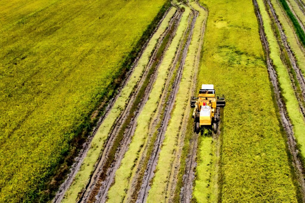 Kos tuai padi sama walau diesel turun