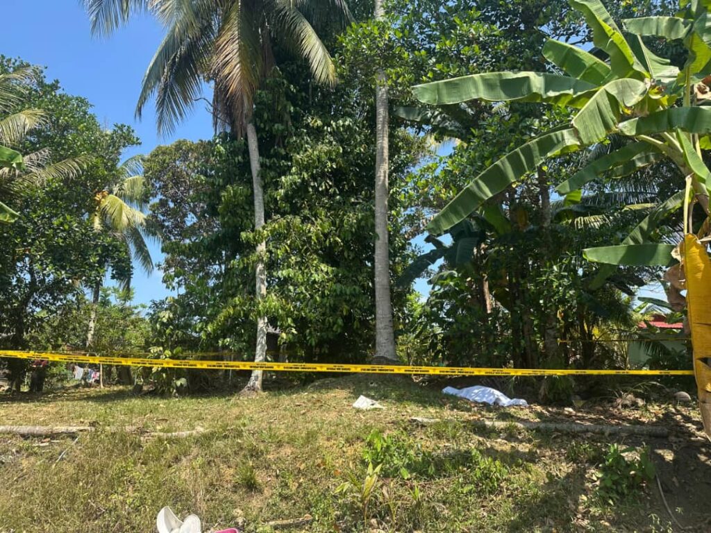 Lelaki maut jatuh pokok kelapa setinggi 9.14 meter di Jengka 15