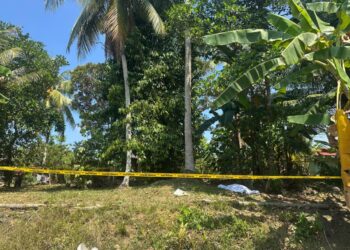 LOKASI seorang lelaki maut setelah terjatuh dari pokok kelapa di Felda Jengka 15 di Maran, Pahang.