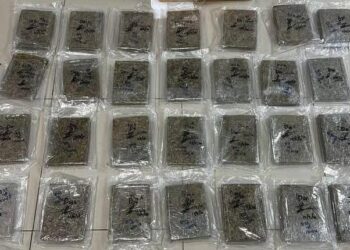 SEBAHAGIAN ganja yang dirampas PGA selepas menahan seorang lelaki di Kampung Kubang Puyu, Pasir Mas, Kelantan.