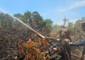 PASUKAN bomba dan penyelamat bertungkus-lumus memadam kebakaran hutan paya gambut di Kampung Rhu Batil, Dungun, Terengganu.