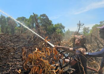 PASUKAN bomba dan penyelamat bertungkus-lumus memadam kebakaran hutan paya gambut di Kampung Rhu Batil, Dungun, Terengganu.
