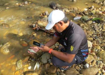 JABATAN Alam Sekitar (JAS) Kelantan mengesahkan tiada unsur pencemaran di kesan di Sungai Ketil dekat Taman Rimba, Gua Musang, Kelantan susulan penemuan ratusan bangkai ikan Jumaat lalu.