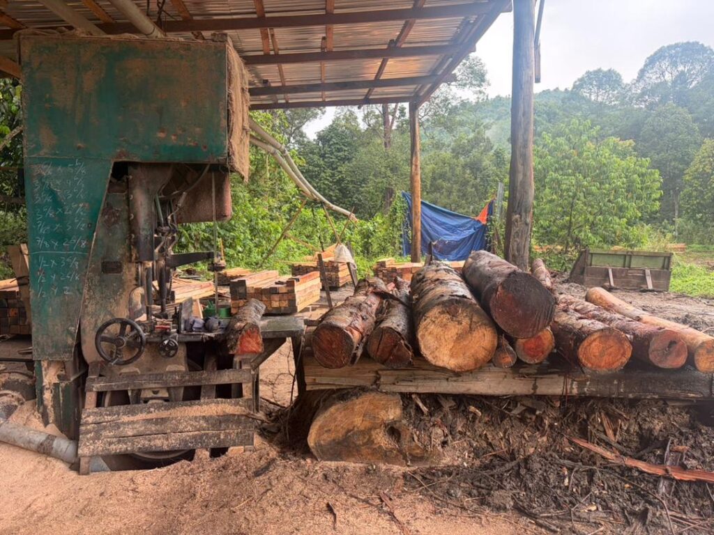 Kilang proses kayu tidak bercukai di serbu