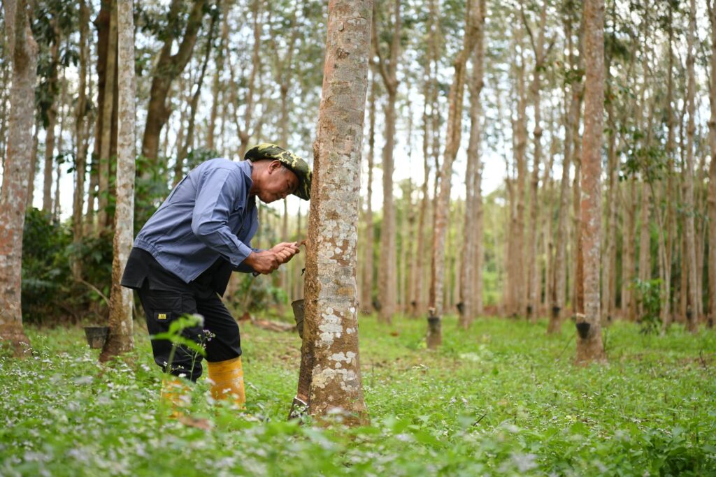 Wujudkan bank tanah usahakan tanah terbiar