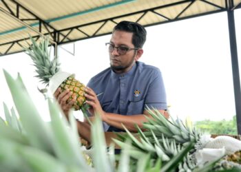 SHEIKH UMAR BAGHARIB ALI