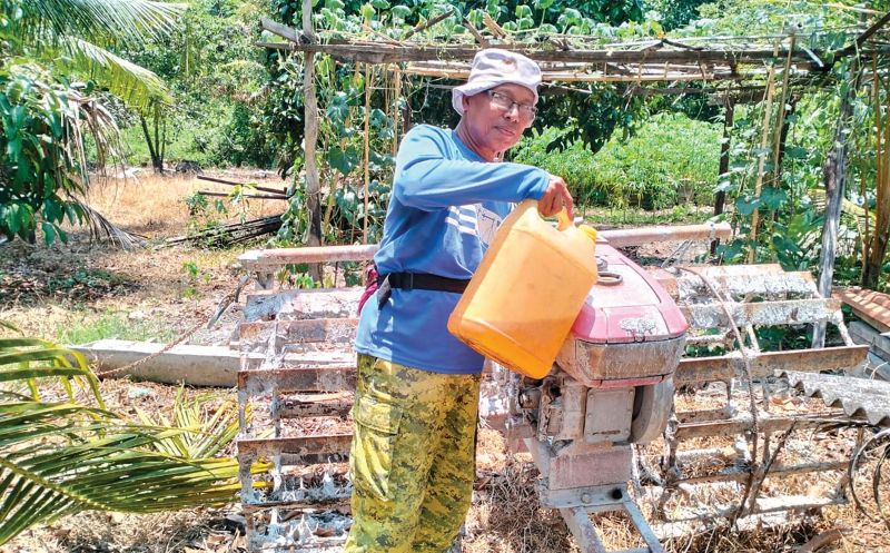 Harga diesel, kemarau ‘tekan’ pesawah